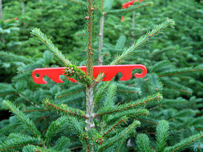 Zweigregler an einem Weihnachtsbaum